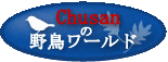 Chusan̖쒹[h